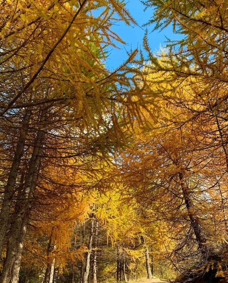 Appartamento Paola Livigno Bagian luar foto